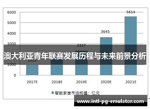 澳大利亚青年联赛发展历程与未来前景分析