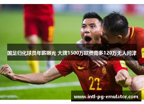国足归化球员年薪曝光 大牌1500万欧费南多120万无人问津