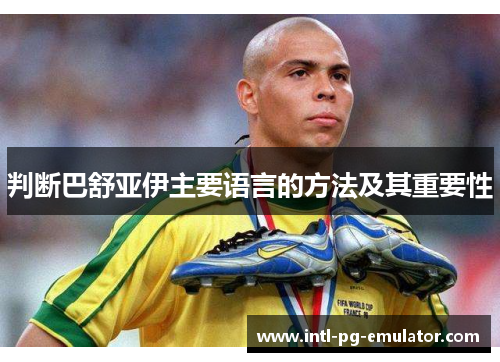判断巴舒亚伊主要语言的方法及其重要性