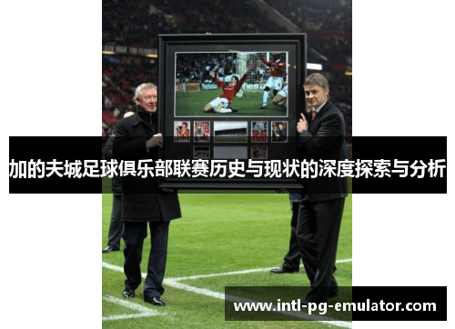 加的夫城足球俱乐部联赛历史与现状的深度探索与分析