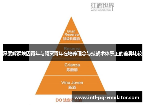 深度解读埃因青年与阿贾青年在培养理念与技战术体系上的差异比较