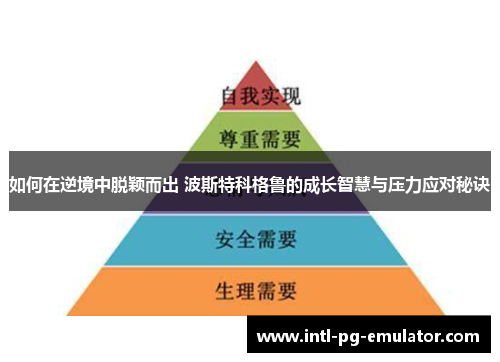 如何在逆境中脱颖而出 波斯特科格鲁的成长智慧与压力应对秘诀
