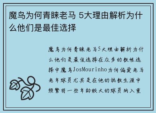 魔鸟为何青睐老马 5大理由解析为什么他们是最佳选择